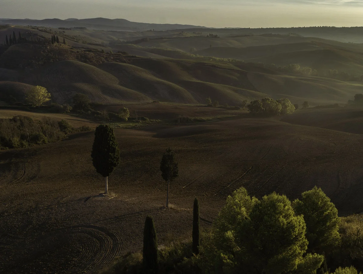An intimate shot of the Tuscan landscape, sounds like a paint with Autumn colors