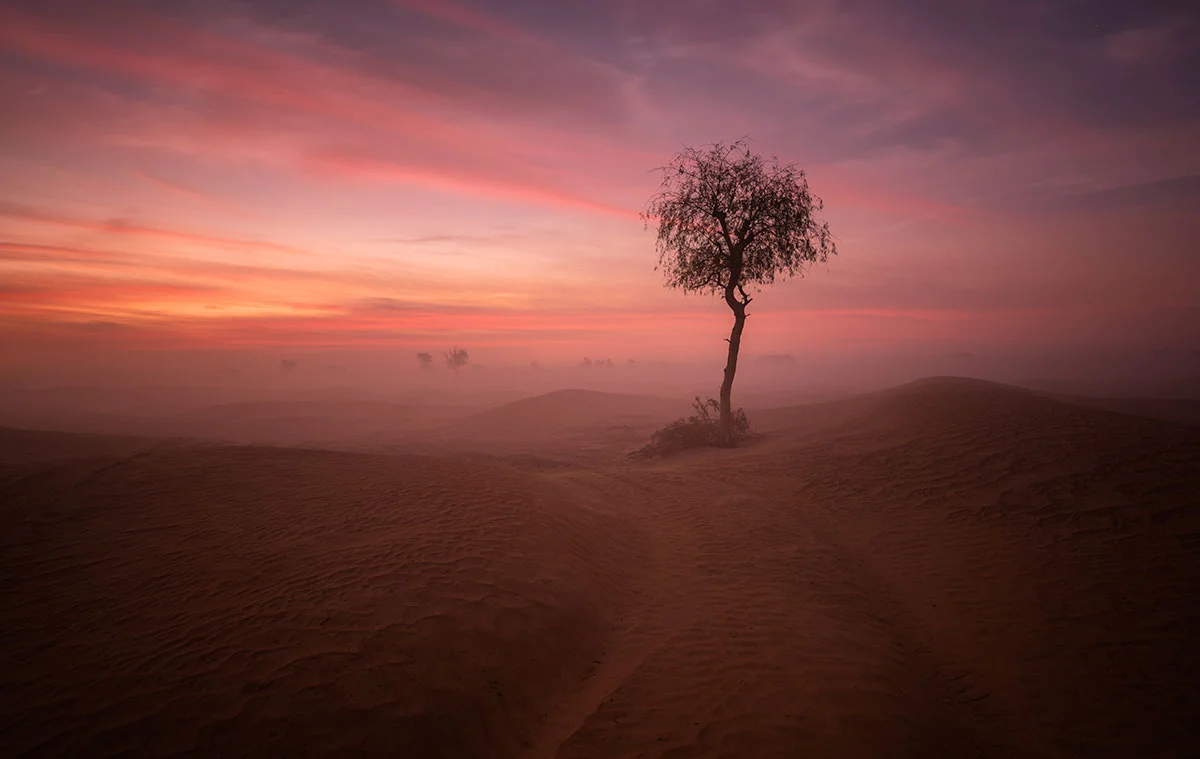 _DAN6854-Recovered.jpg