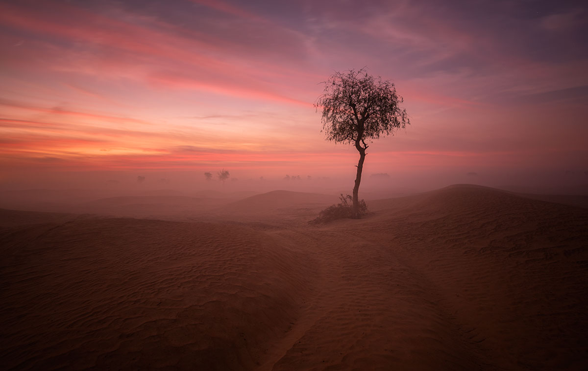 Sunrise at Maliha desert