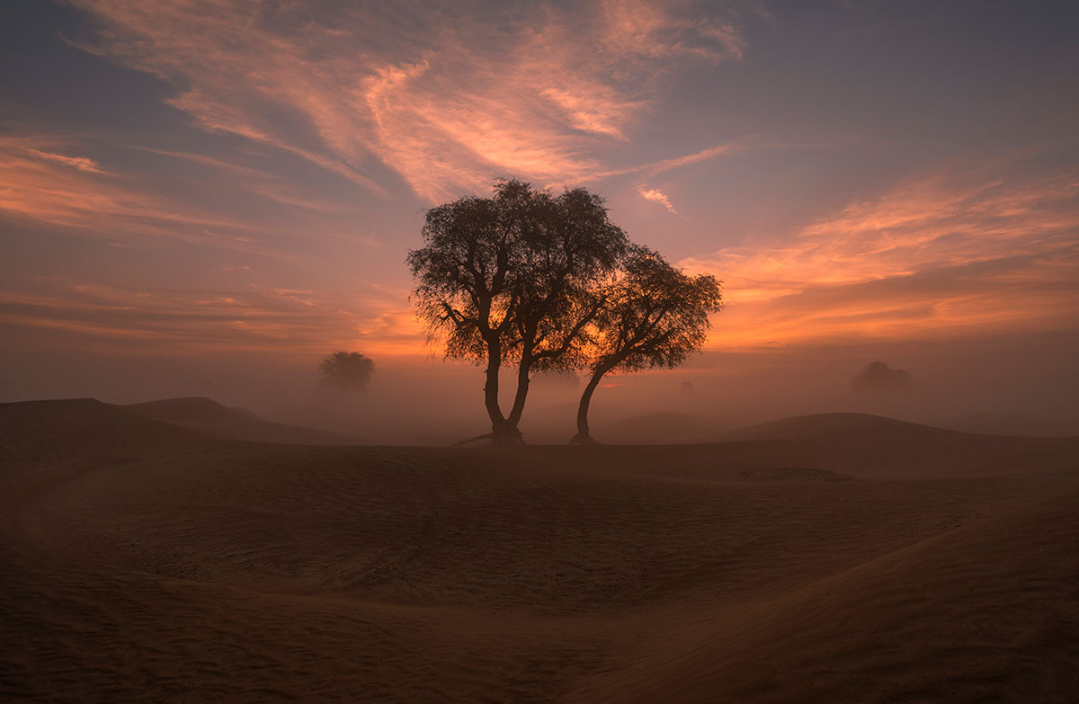 Maleha desert in Sharjah 