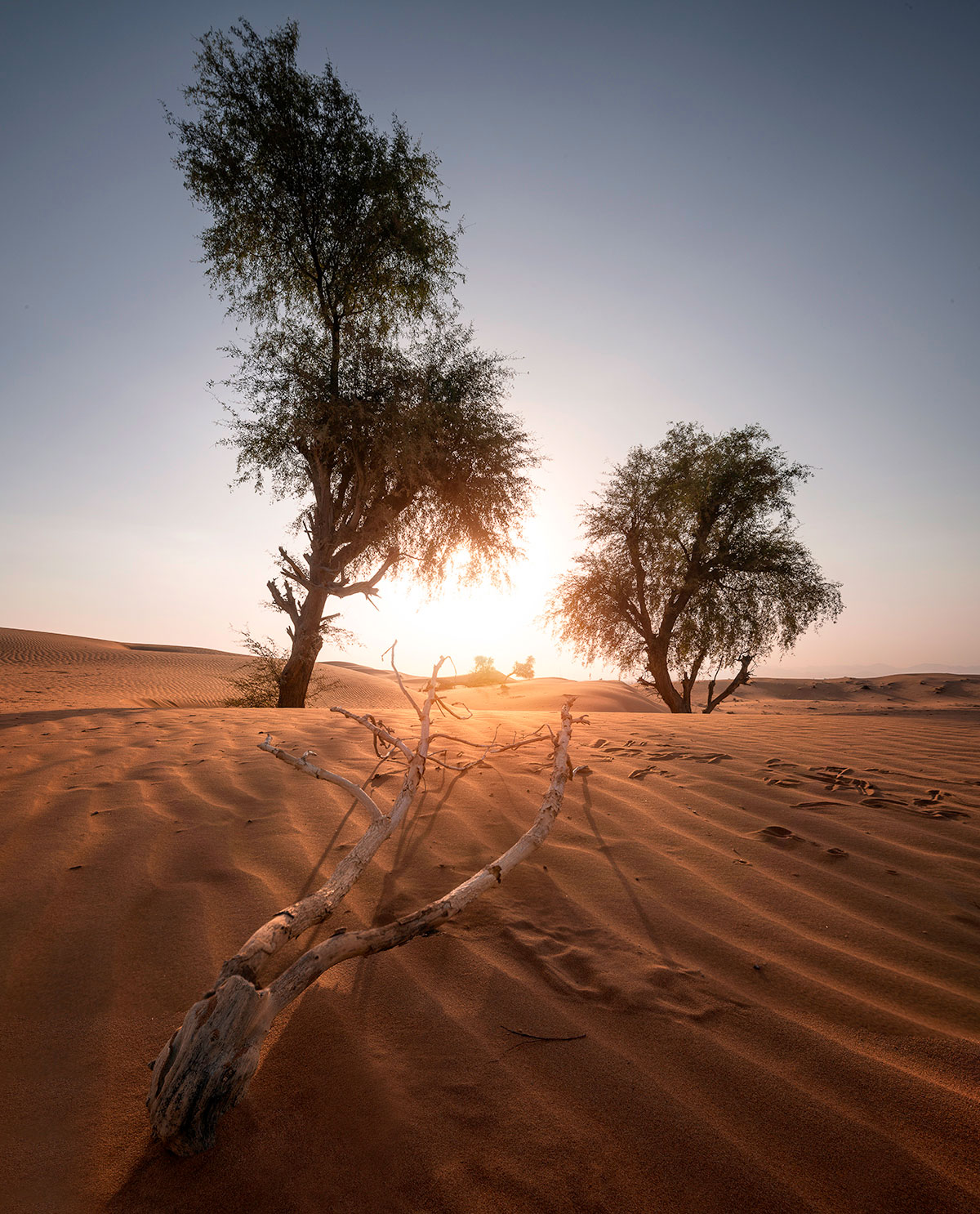 Maliha desert during sunrise