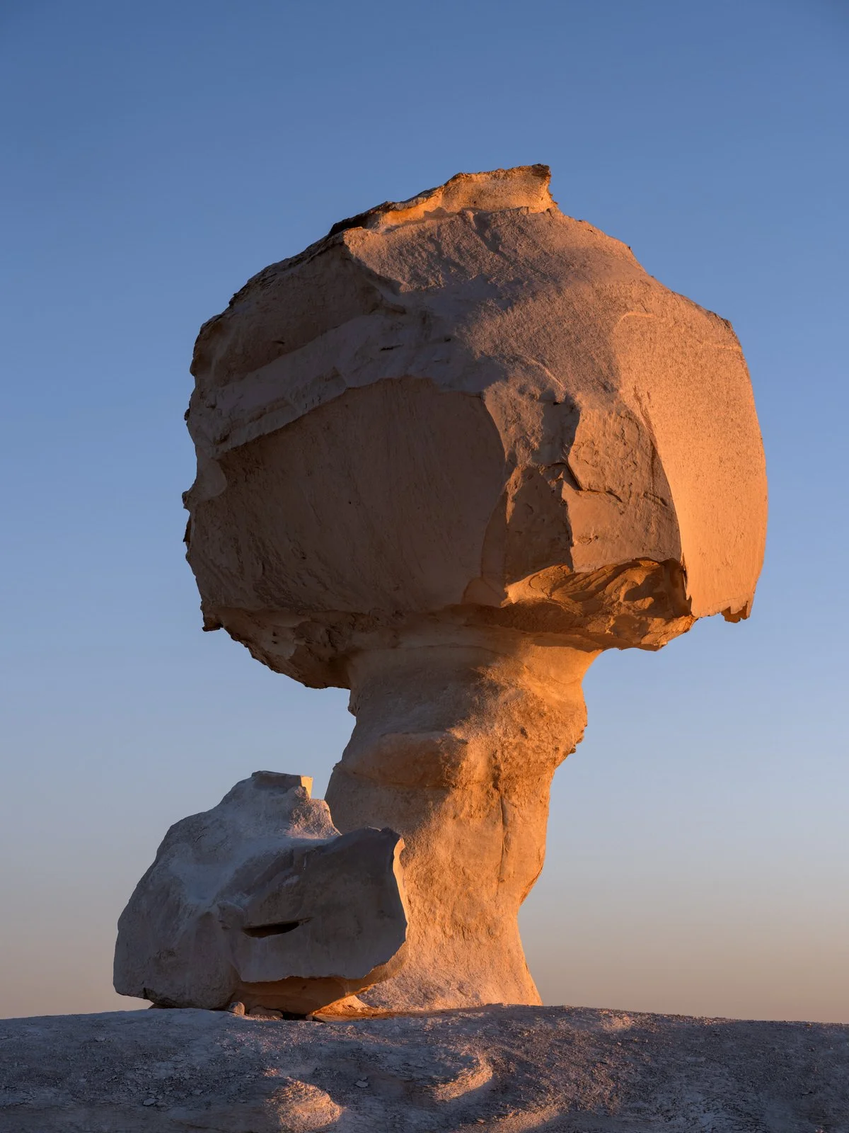 A mushroom-shaped chalk formation glows in golden light in Egypt’s White Desert, photographed by Dany Eid during a desert adventure