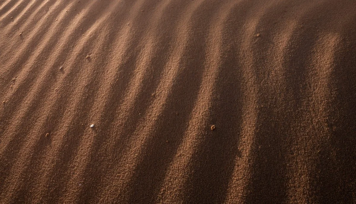 Warm light reveals delicate sand ripples in Egypt’s White Desert, an abstract study of desert texture and shadow photographed by Dany Eid.