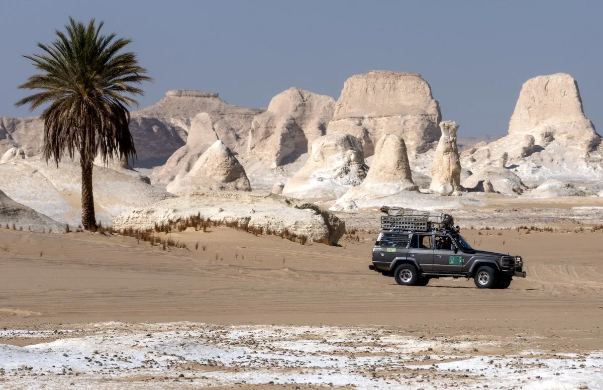 A lone palm beside a Toyota Land Cruiser amid Egypt’s White Desert rock formations, photographed by Dany Eid during an overland adventure