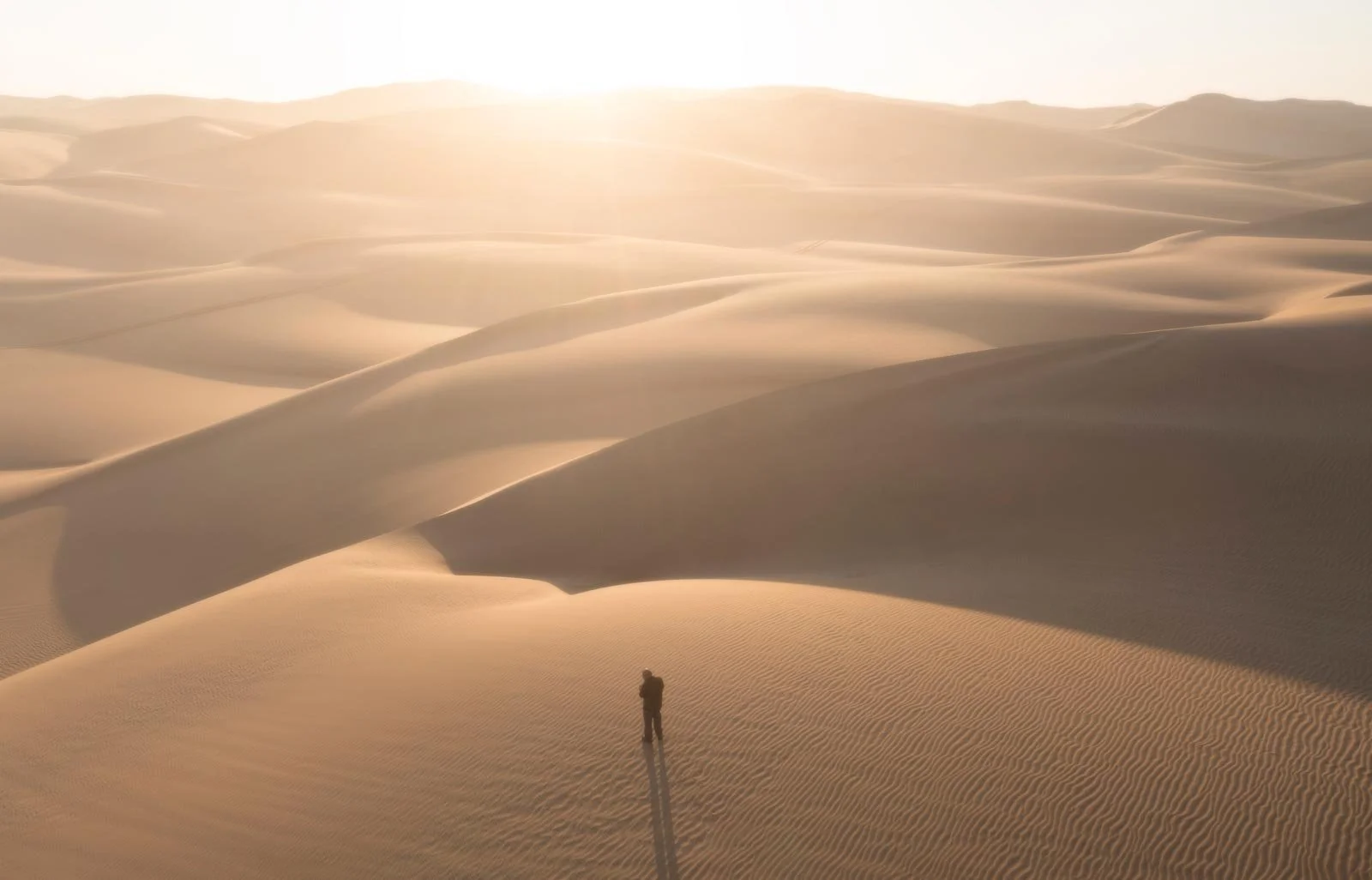 Aerial view of a lone person casting a long shadow across rippled sand, surrounded by sweeping dunes in golden light.