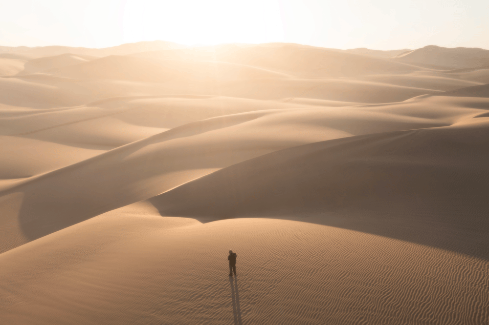 Lone photographer standing on rippled sand in the Namib Desert as warm sunrise light spills across layered dunes