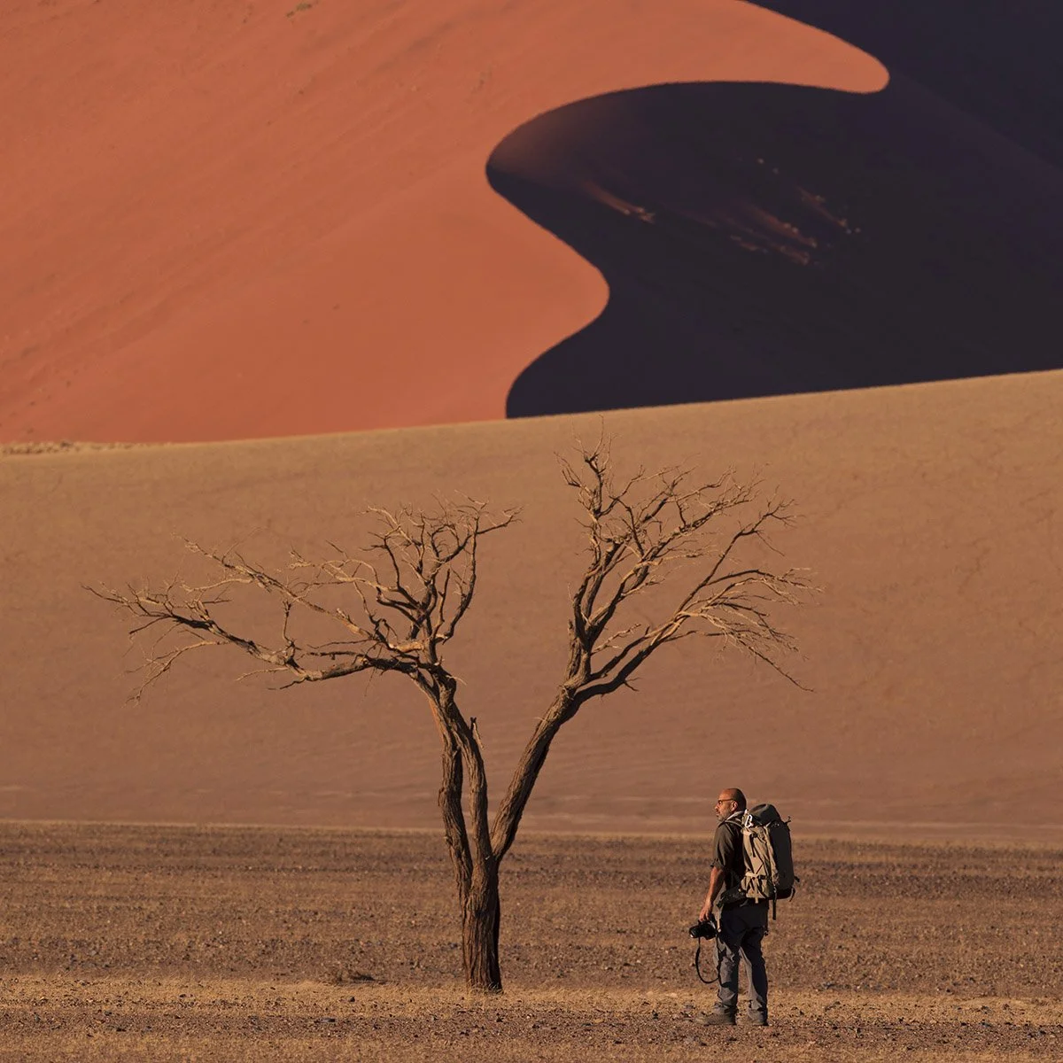 Photographer carrying a camera and backpack beside a leafless tree, with orange sand dunes behind him in Namibia.