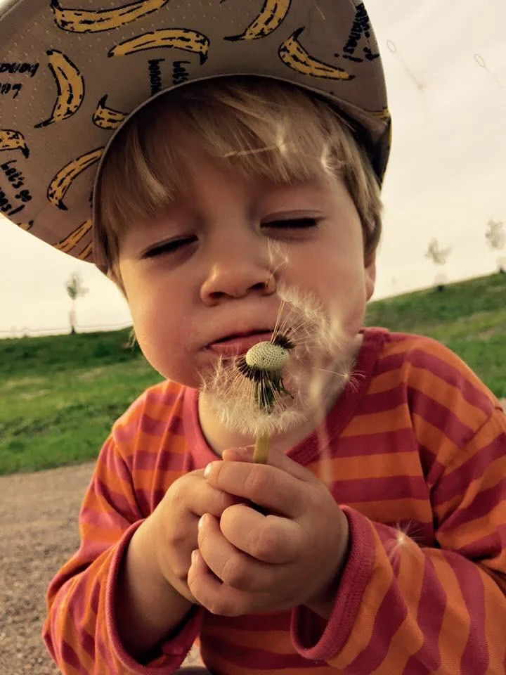 Uhma haltuun arjessa - Kamun kasvatusilta