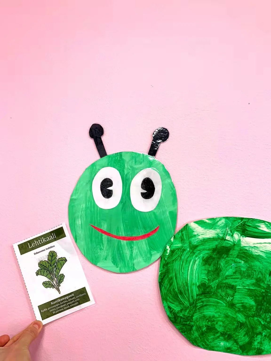 What is environmental education in kindergarten?
