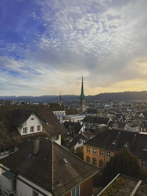  On an Educational Trip: Differences in Early Childhood Education Between Switzerland and Finland