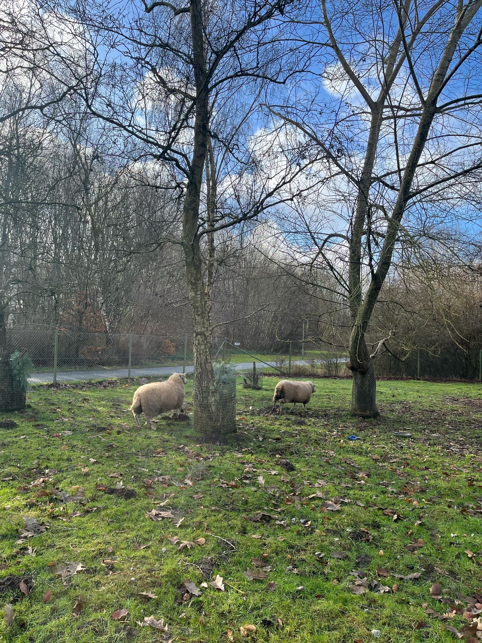 Ulkopedagogiikkaa Tanskassa