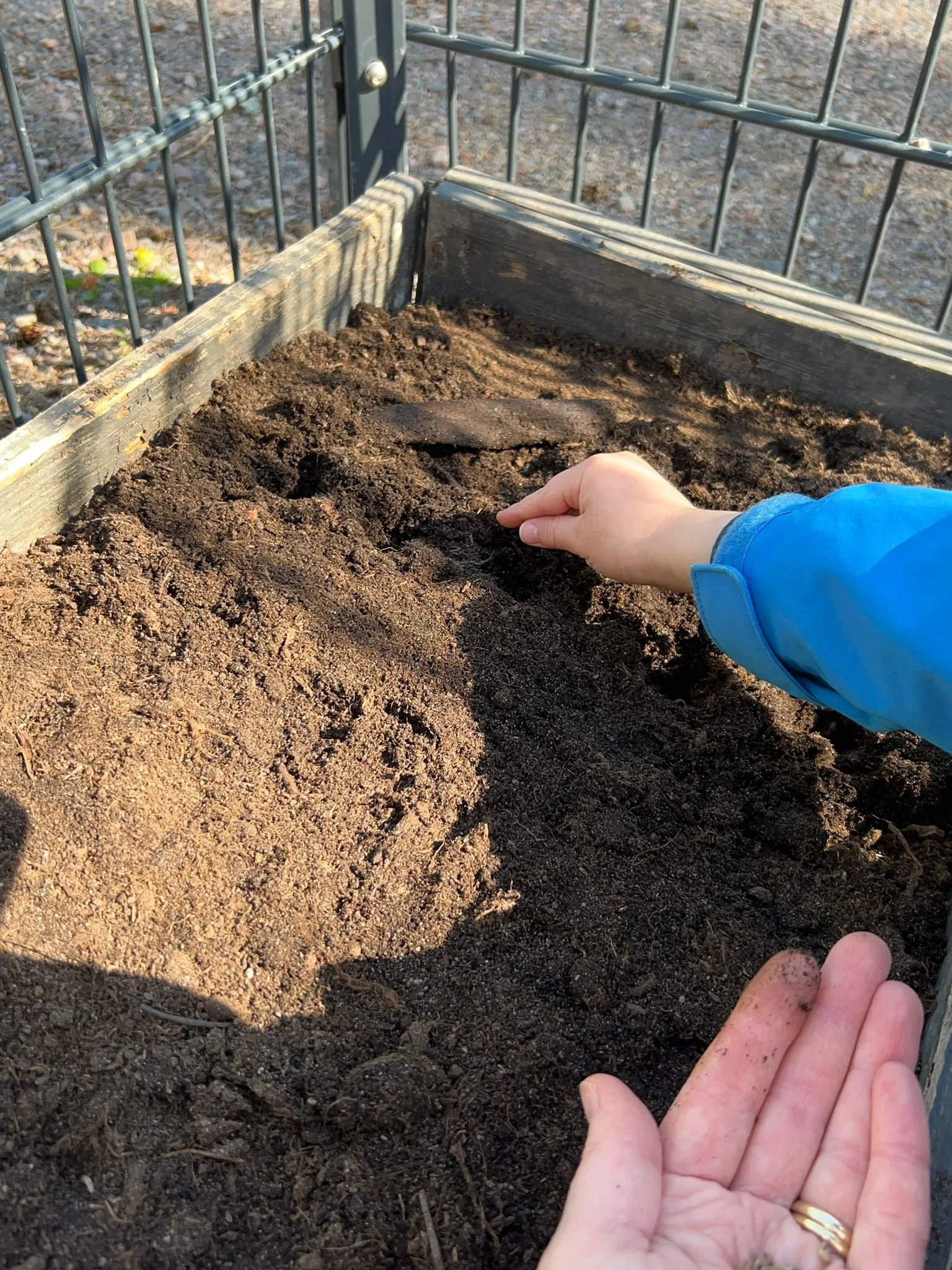 Garden blog seed planting2.jpg