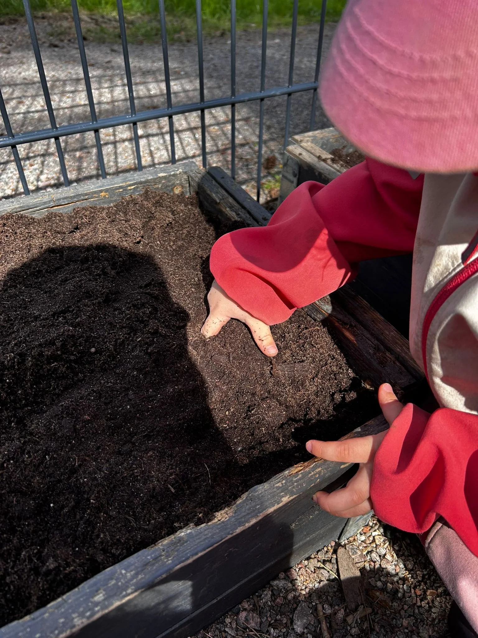 Garden blog seed planting3.jpg