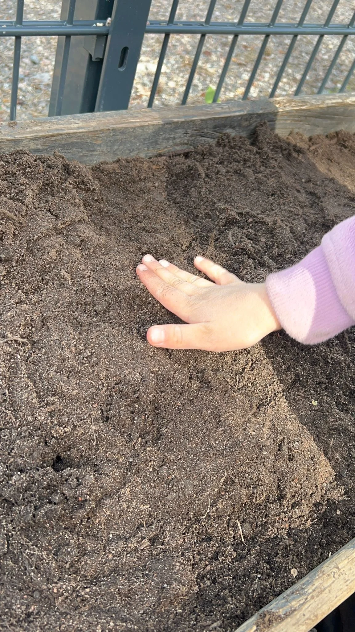 Garden blog Aimi hand.jpg