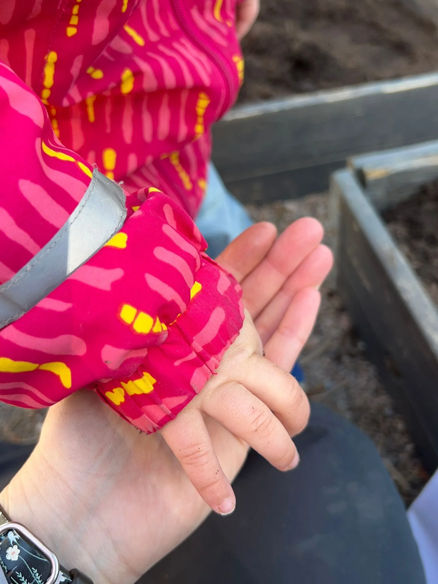 Garden blog taking seeds 2.jpg