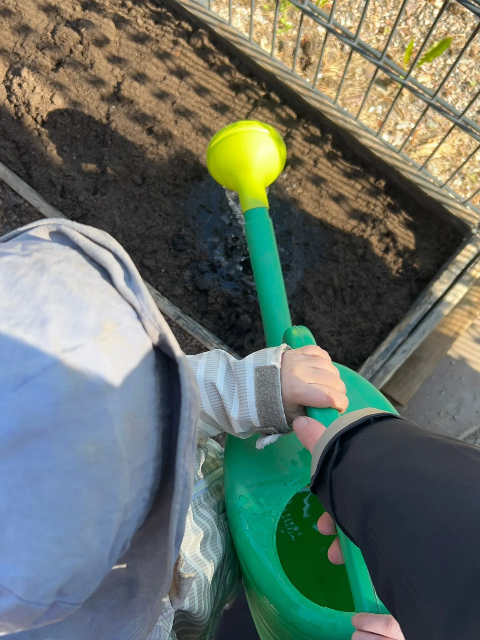 Garden blog Aaro watering can3.jpg