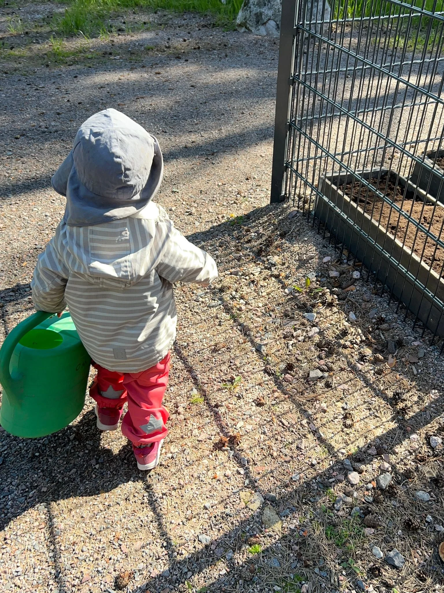 Garden blog Aaro watering can2.jpg