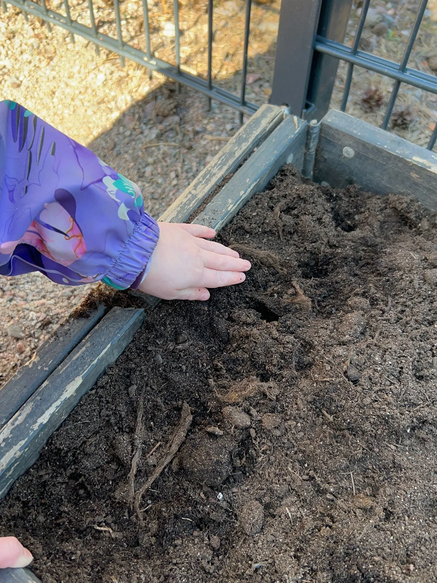 Garden blog Malla hand.jpg