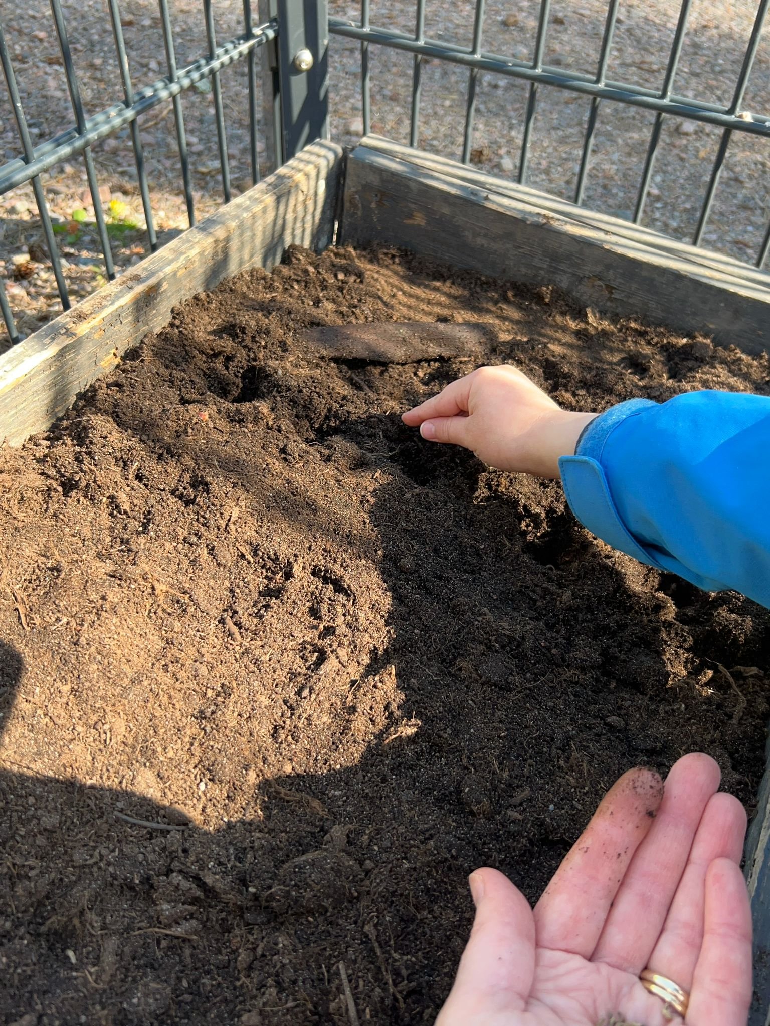 Garden blog seed planting2.jpg