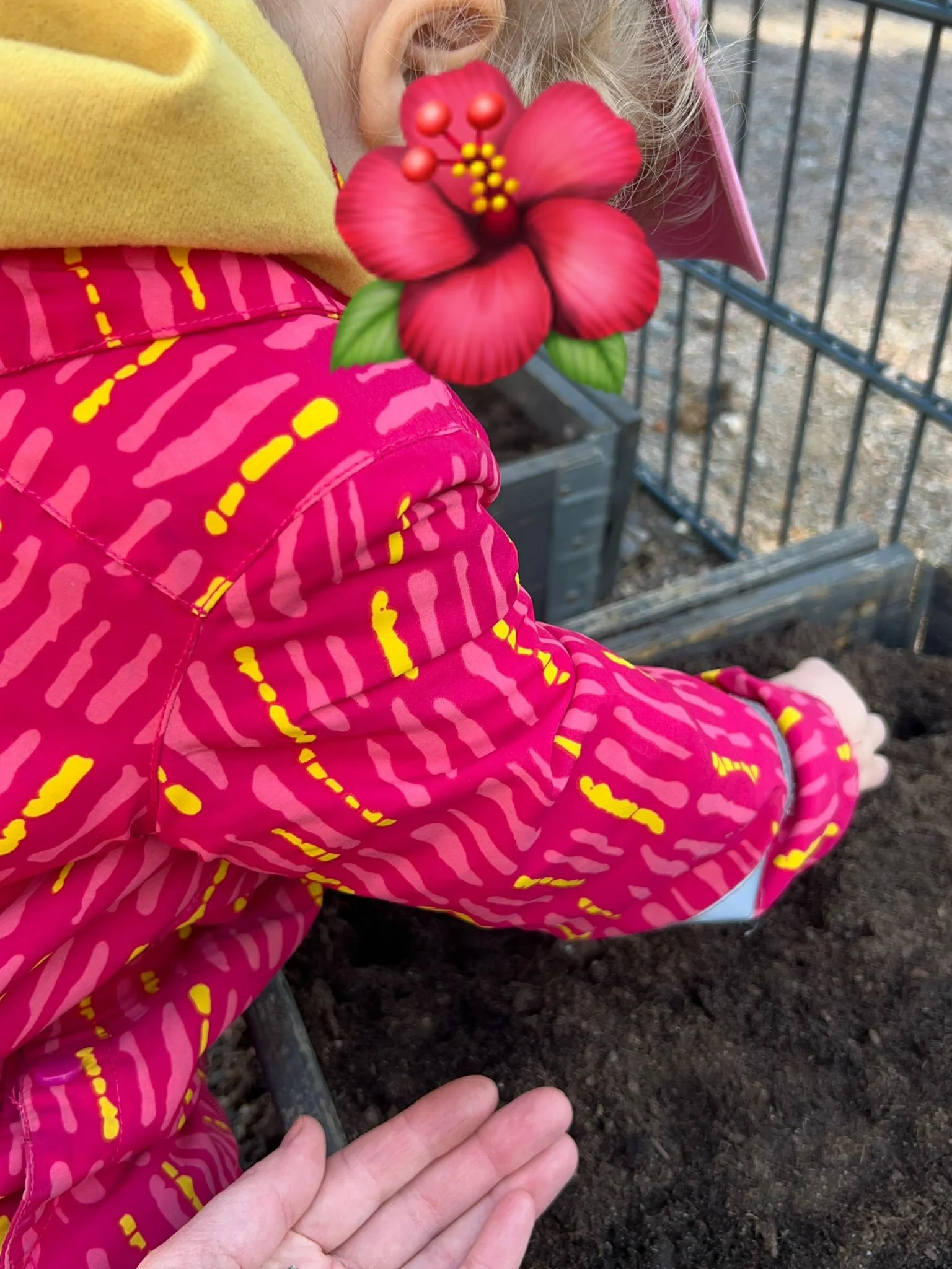 Garden blog Hellin.jpg