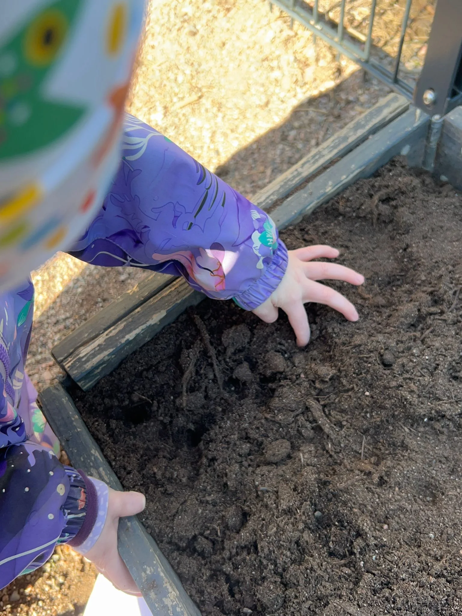 Garden blog seed planting4.jpg