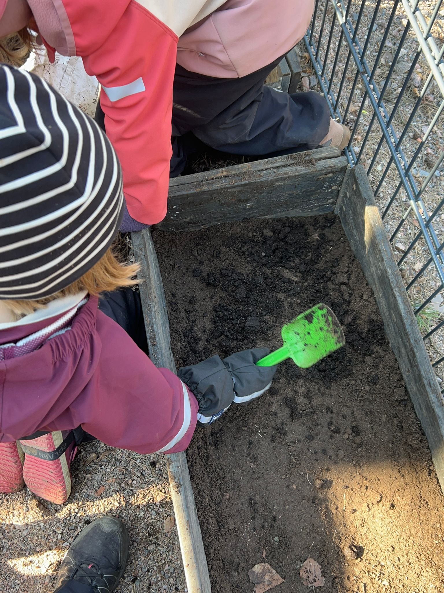 Garden blog start4 .jpg