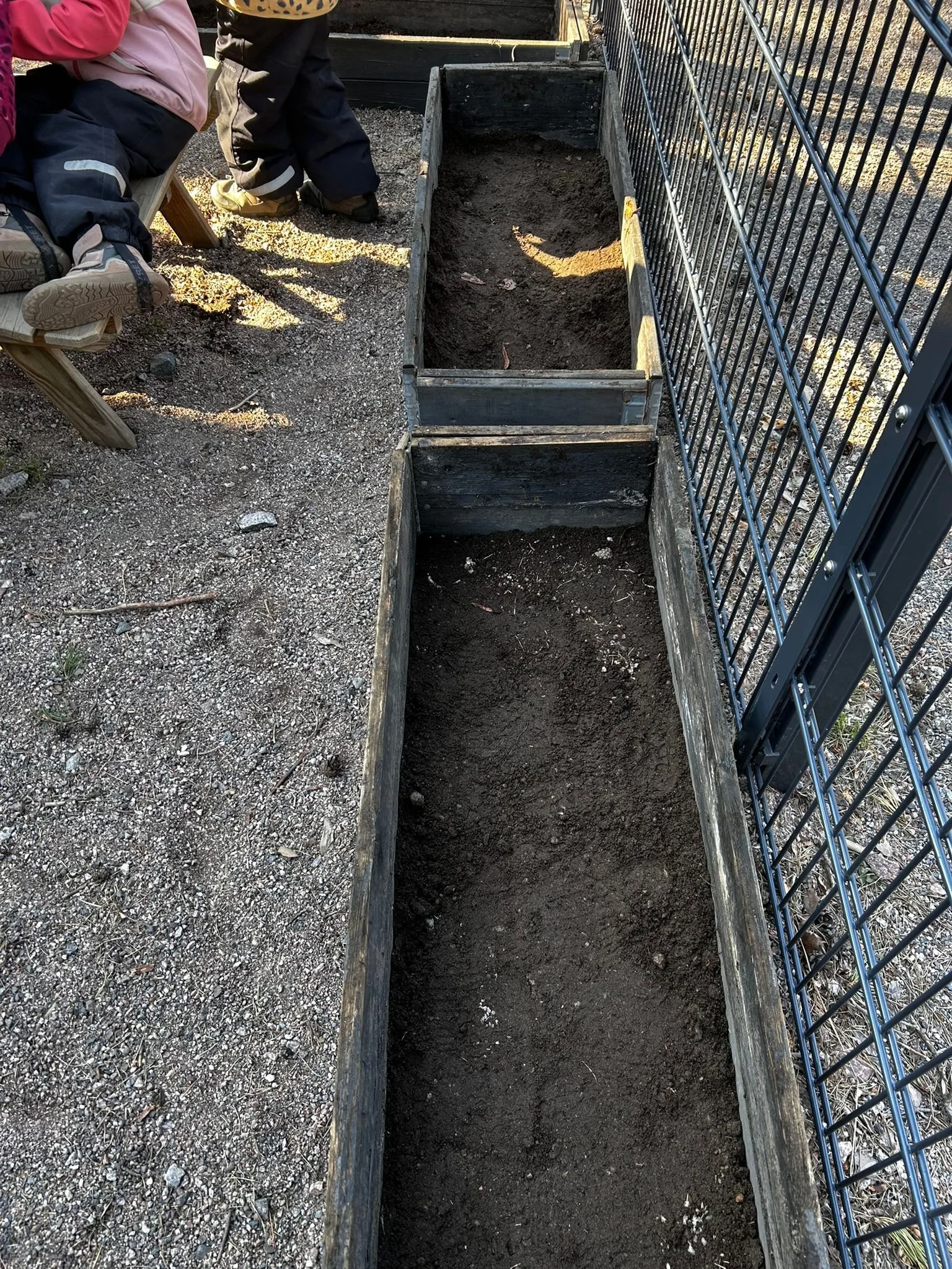Garden blog start6 .jpg