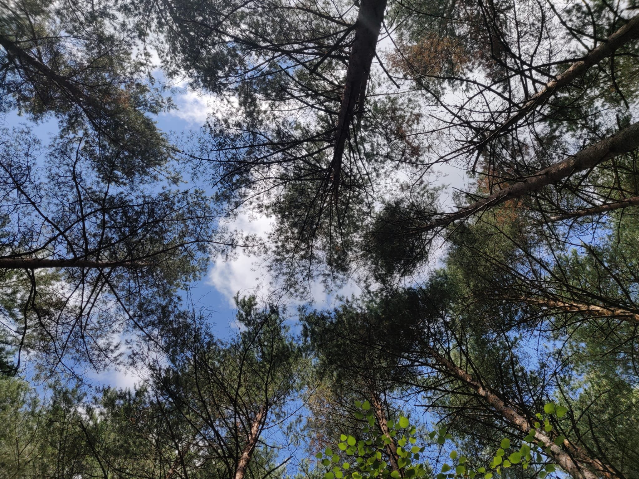 Anna blog sky photo.jpeg