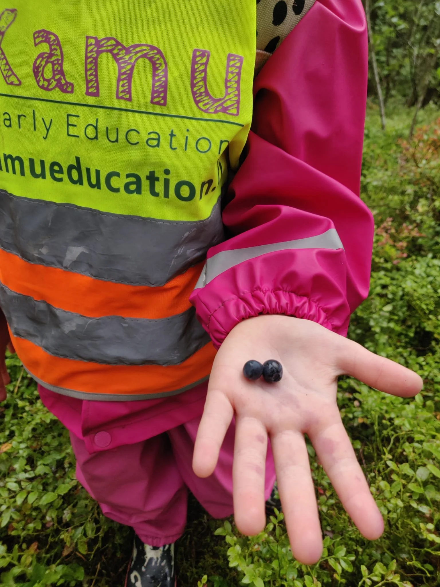 Anna blog blue berry pic.jpeg