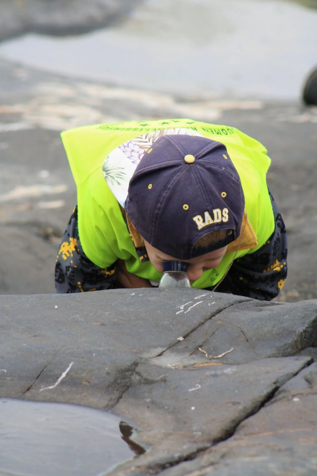 Marianne blog- looking glass.jpeg