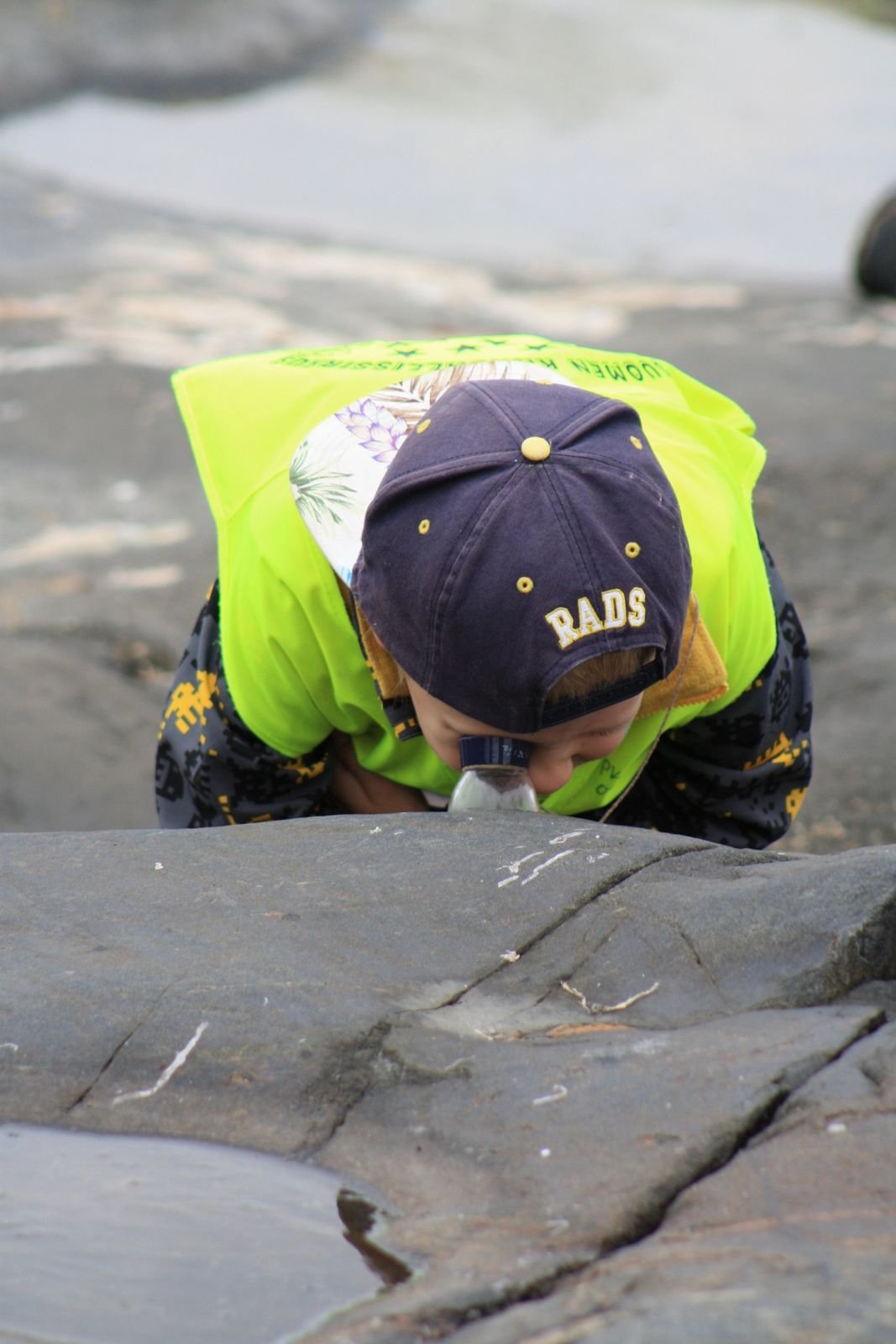 Marianne blog- looking glass.jpeg