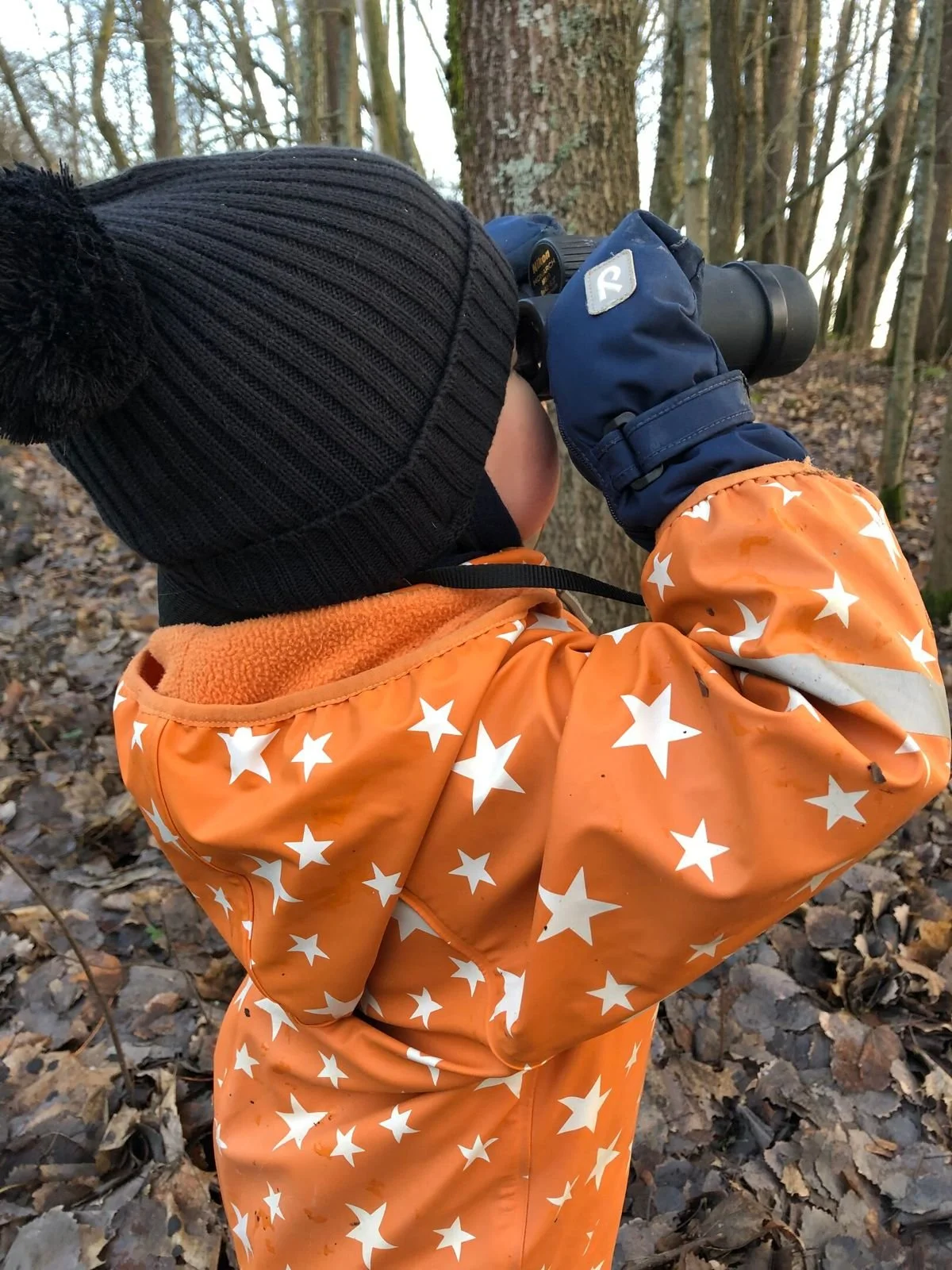 Marianne blog- one child looking through binoculars.jpeg