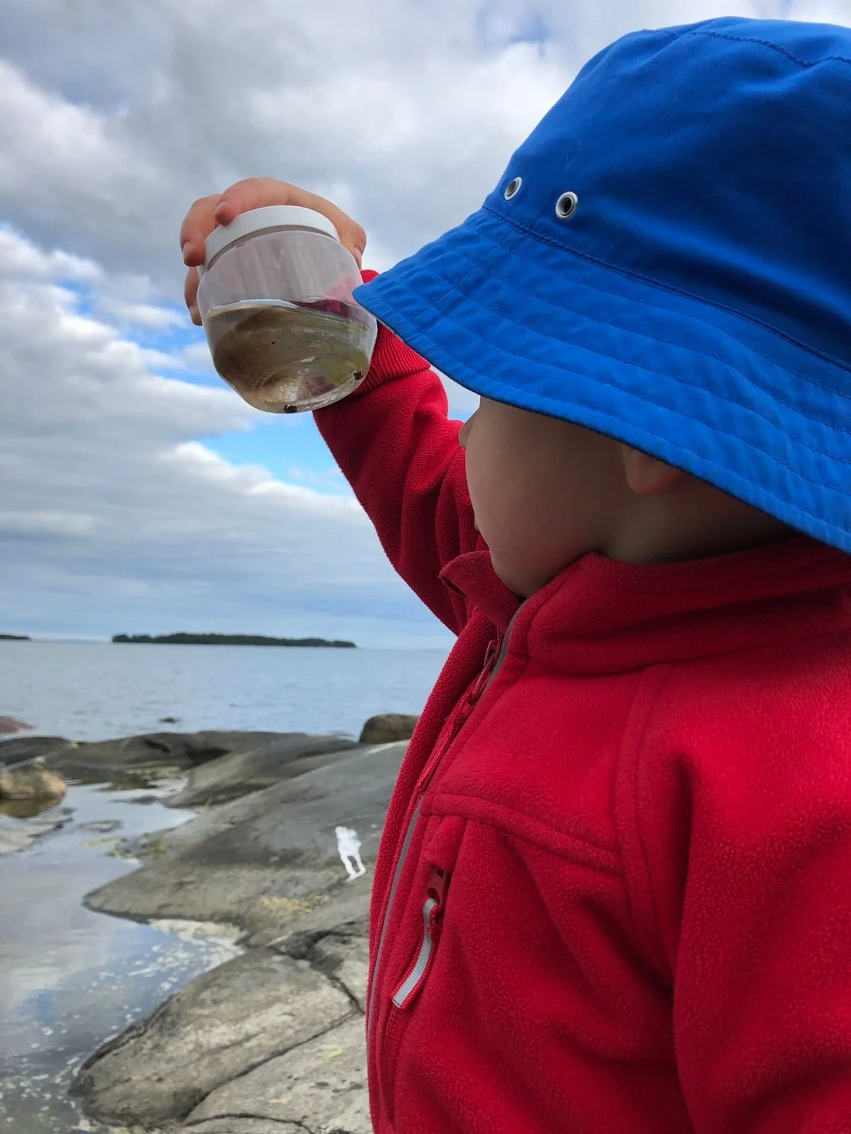 Marianne blog- looking into glass jar.jpeg