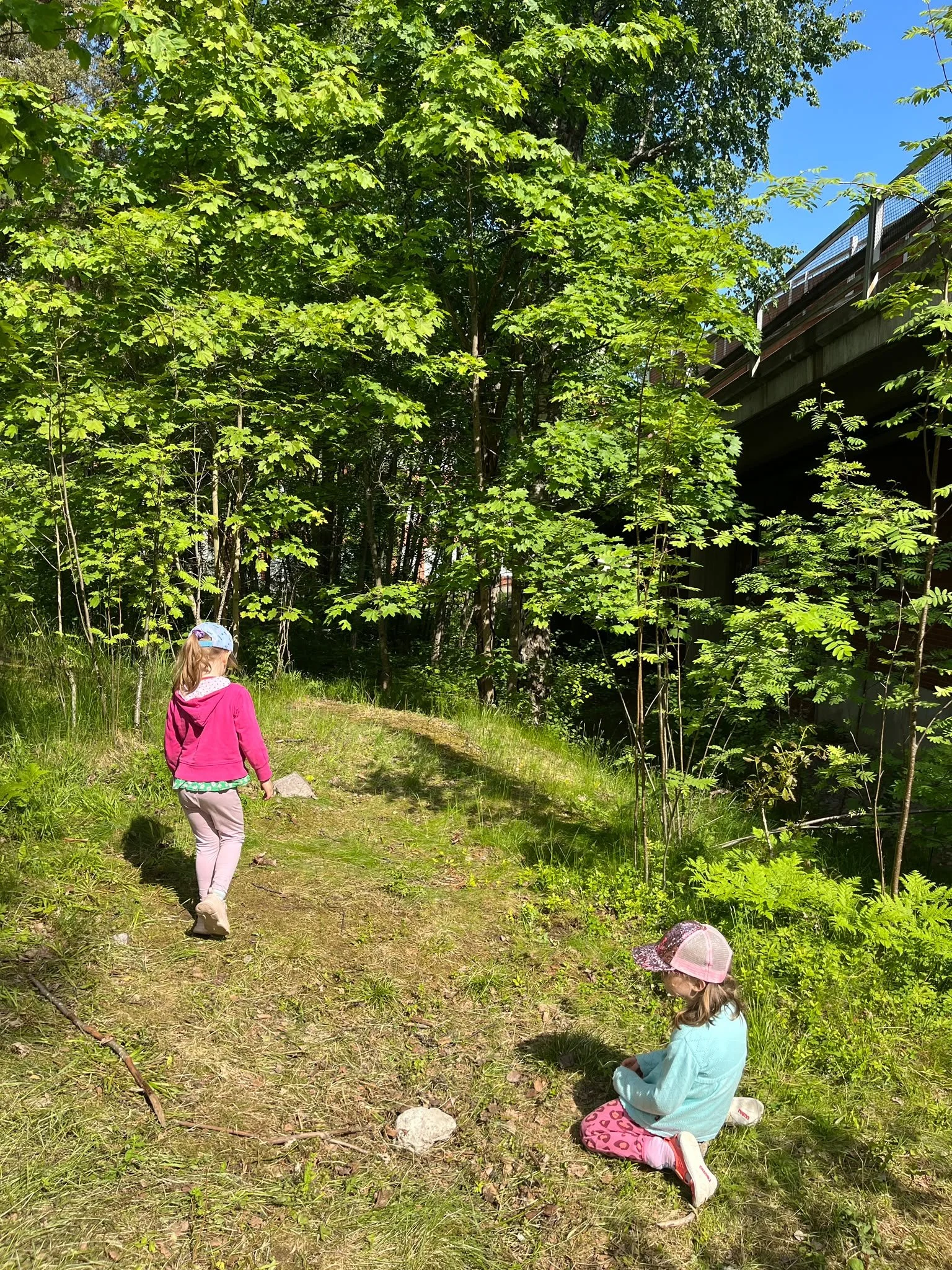 Geraldine blog kids on the hill.jpeg