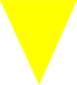 companion_d_pfeil_gelb_gross.png