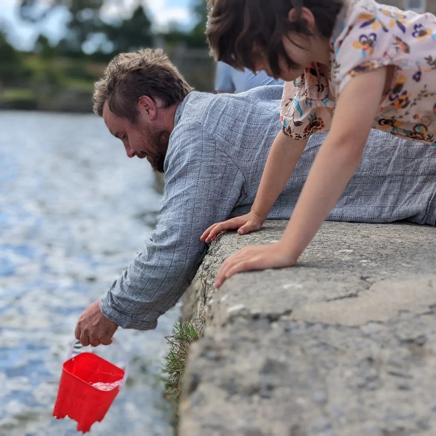 Crabbing. I don't know if this was more for the kids or for us..!

It's been a pretty mental year so far, so it was very nice to disappear into Pembrokeshire for a bit. Some sun, swimming, sandcastles, walking, biking and exploring - all the good sum