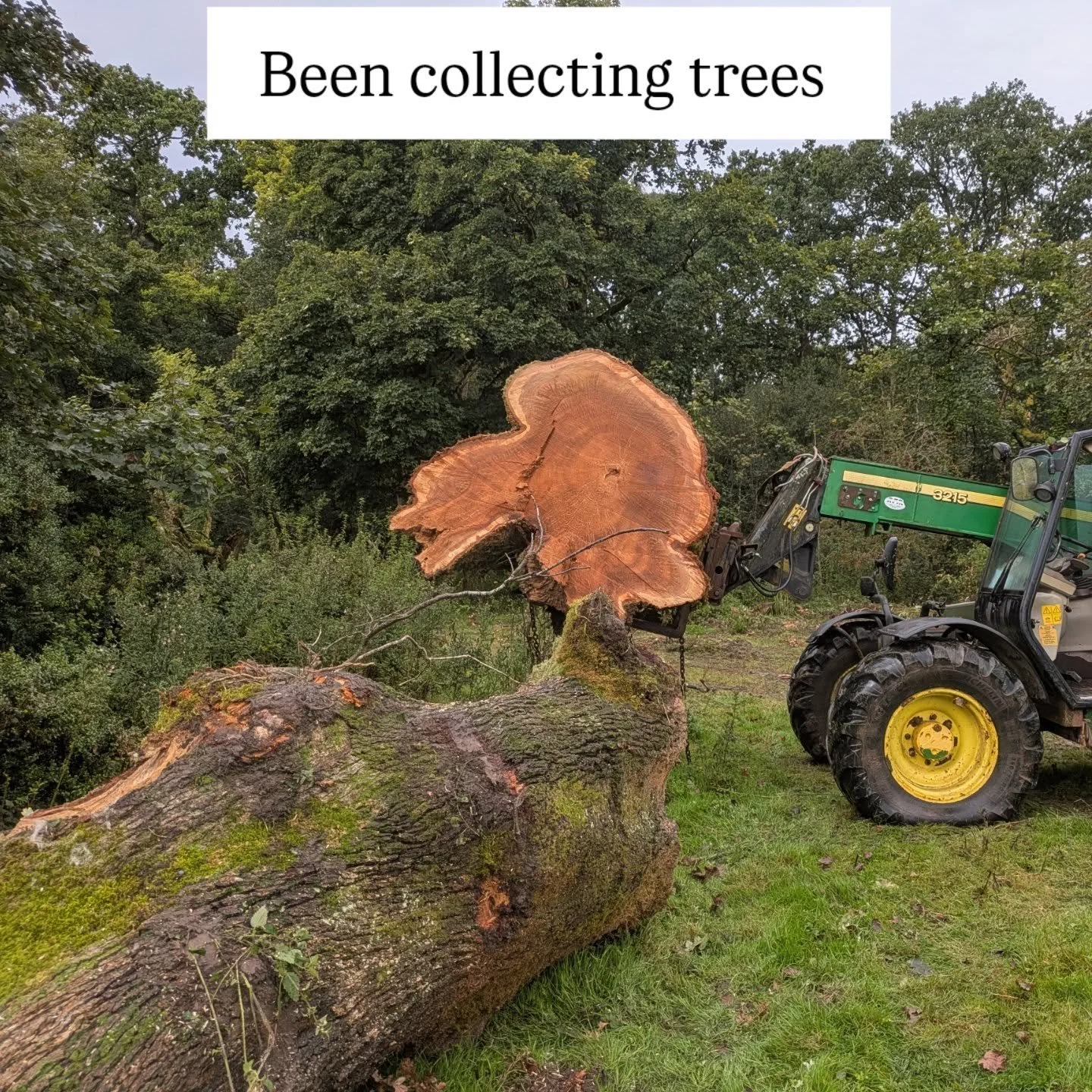 Cleaning up some local storm damage after storm Darragh. Nesting season has come to an end and it's not waterlogged yet so time to strik.
I love our valley it's beautiful!!!!