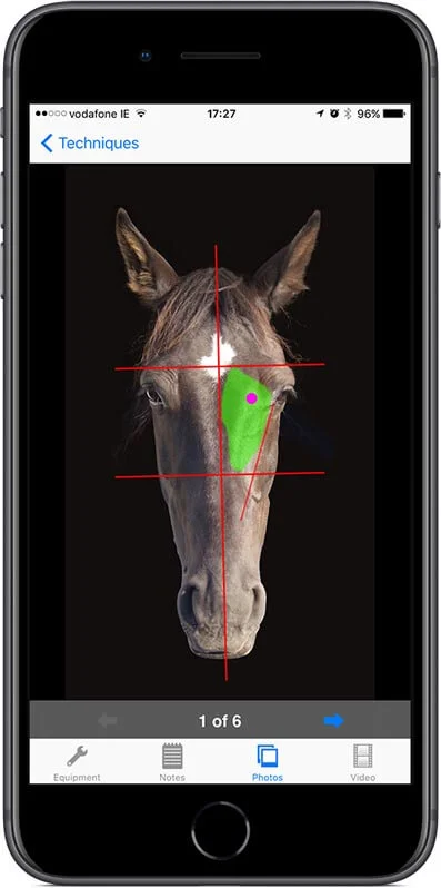 Techniques are illustrated by clear pictures.