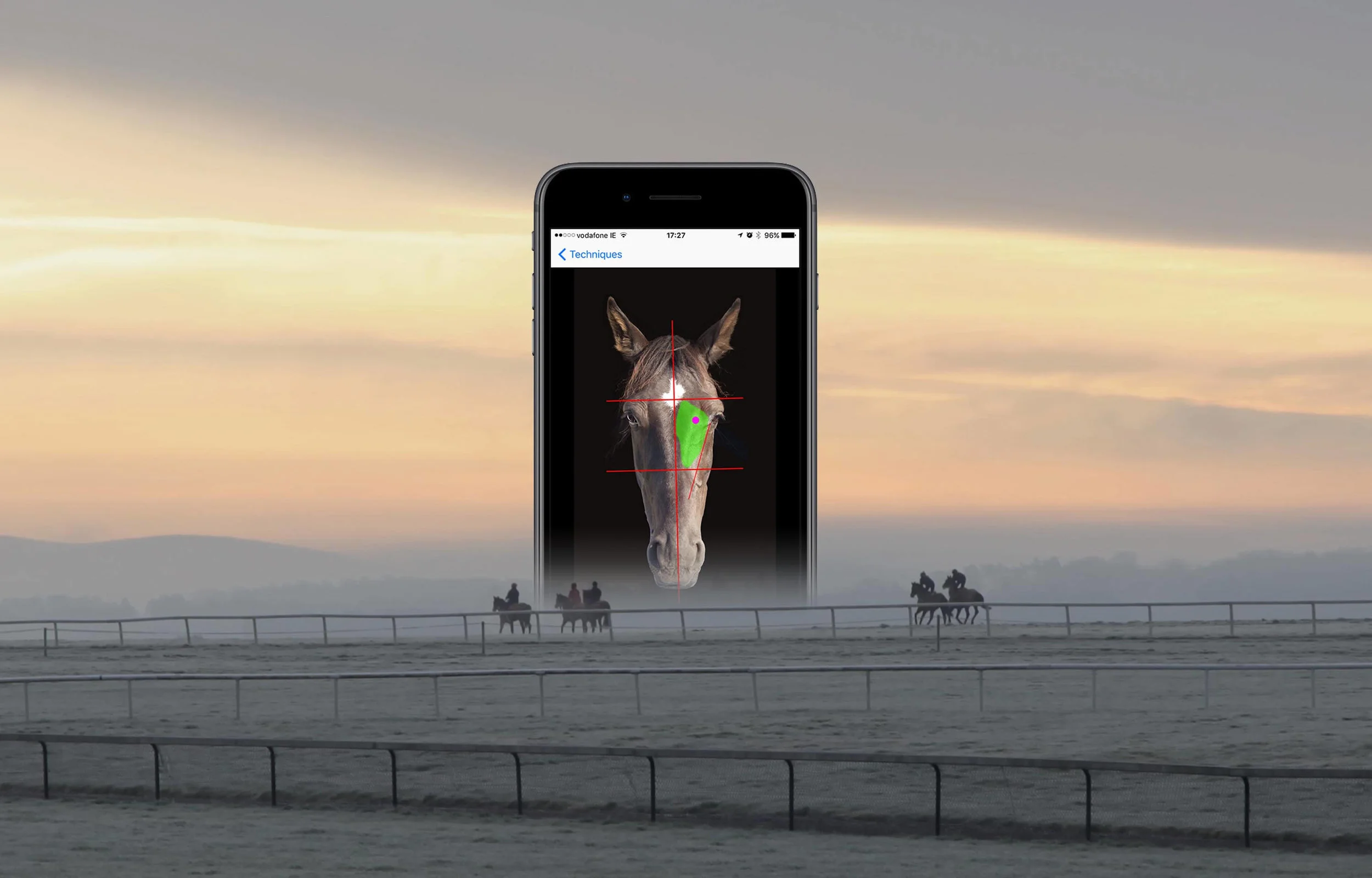 Apps-Equine-Techniques.jpg