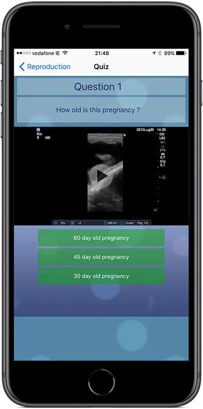 A quiz allow you to test your knowledge of equine reproductive ultrasound.