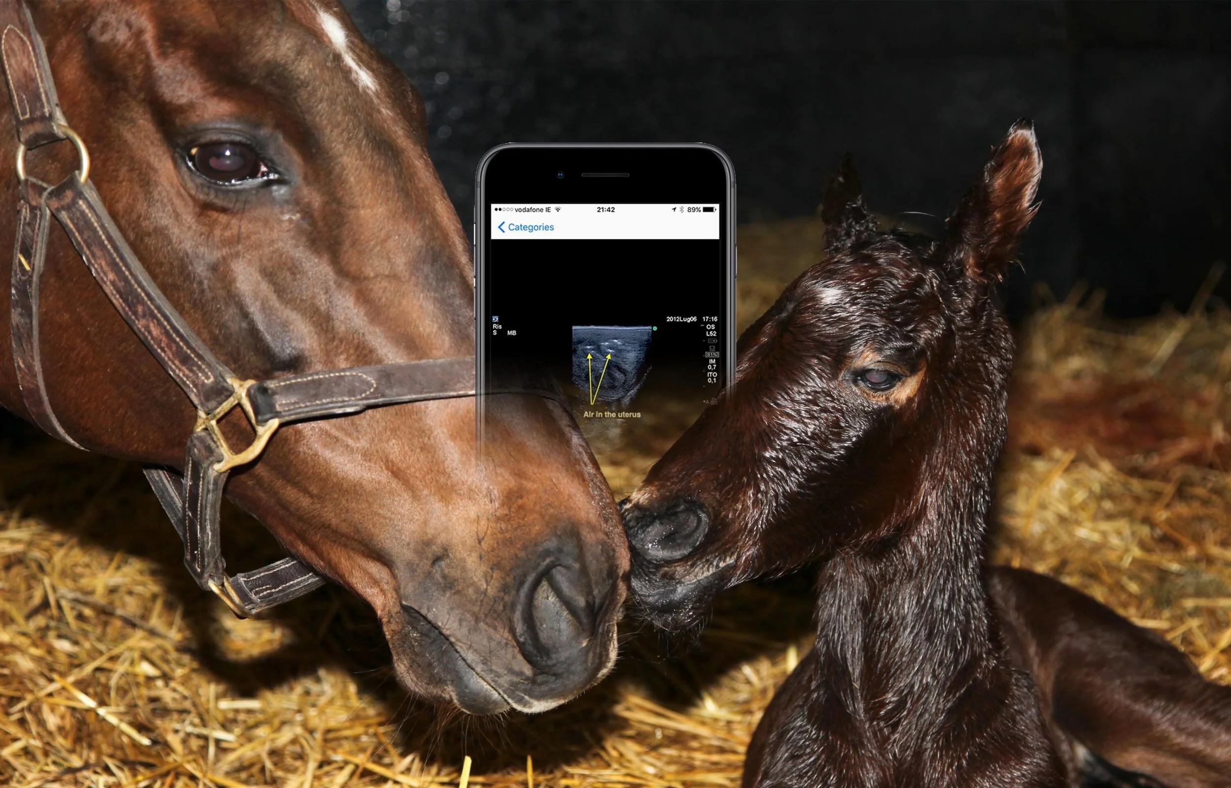 Apps-Reproductive-Ultrasound.jpg