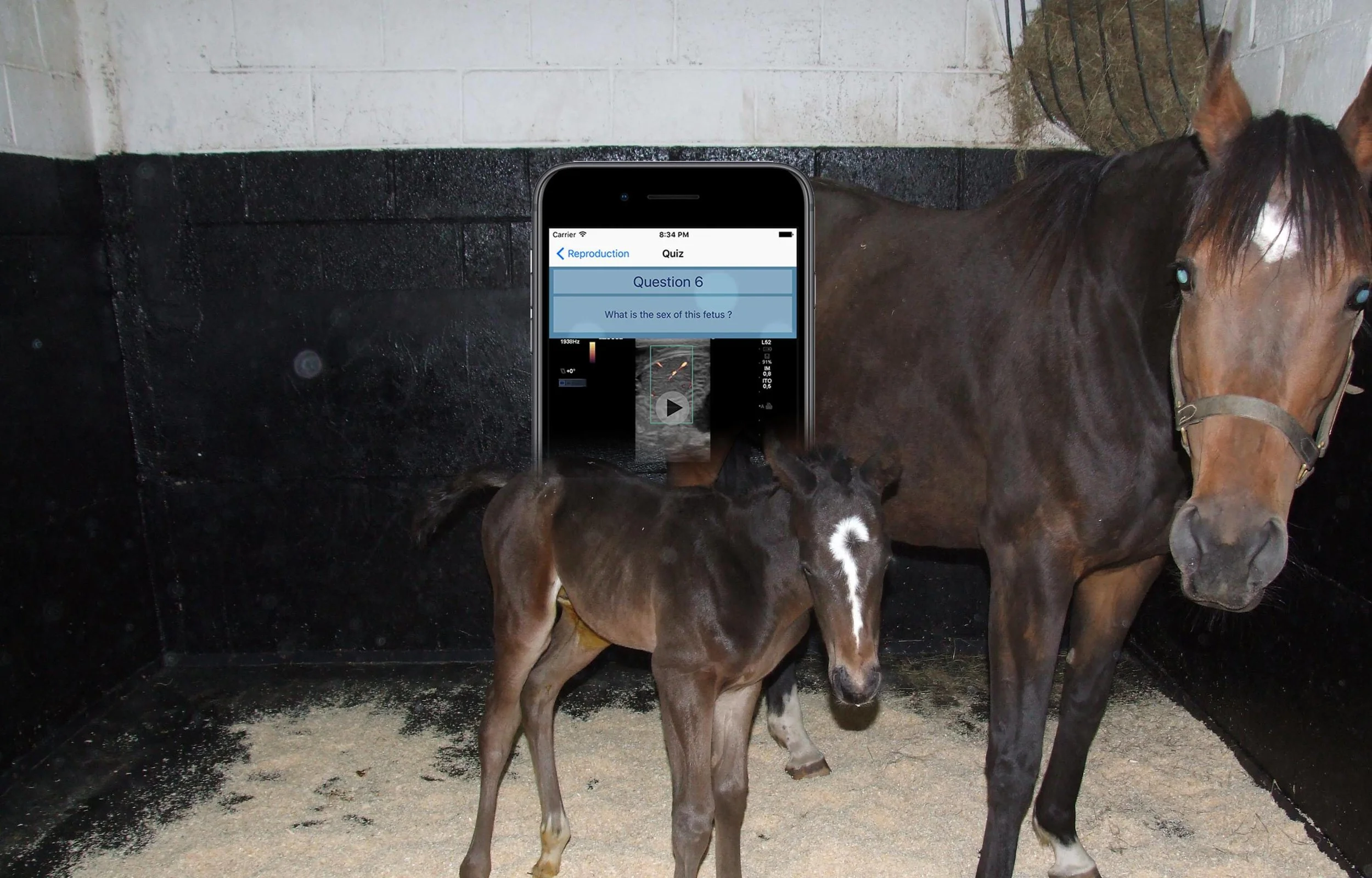 Apps-Advanced-Reproductive-Ultrasound.jpg