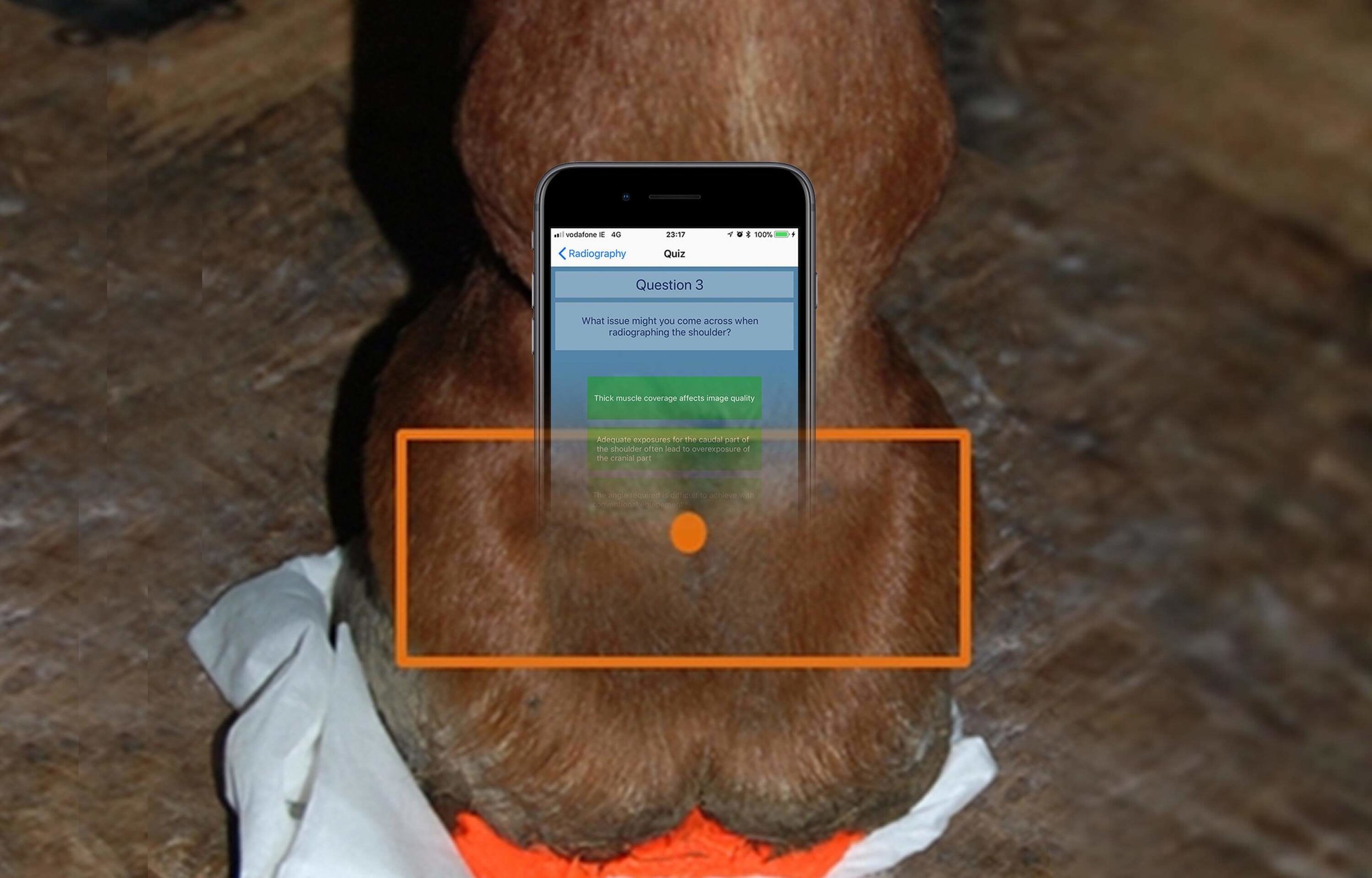 Apps-Radiography.jpg