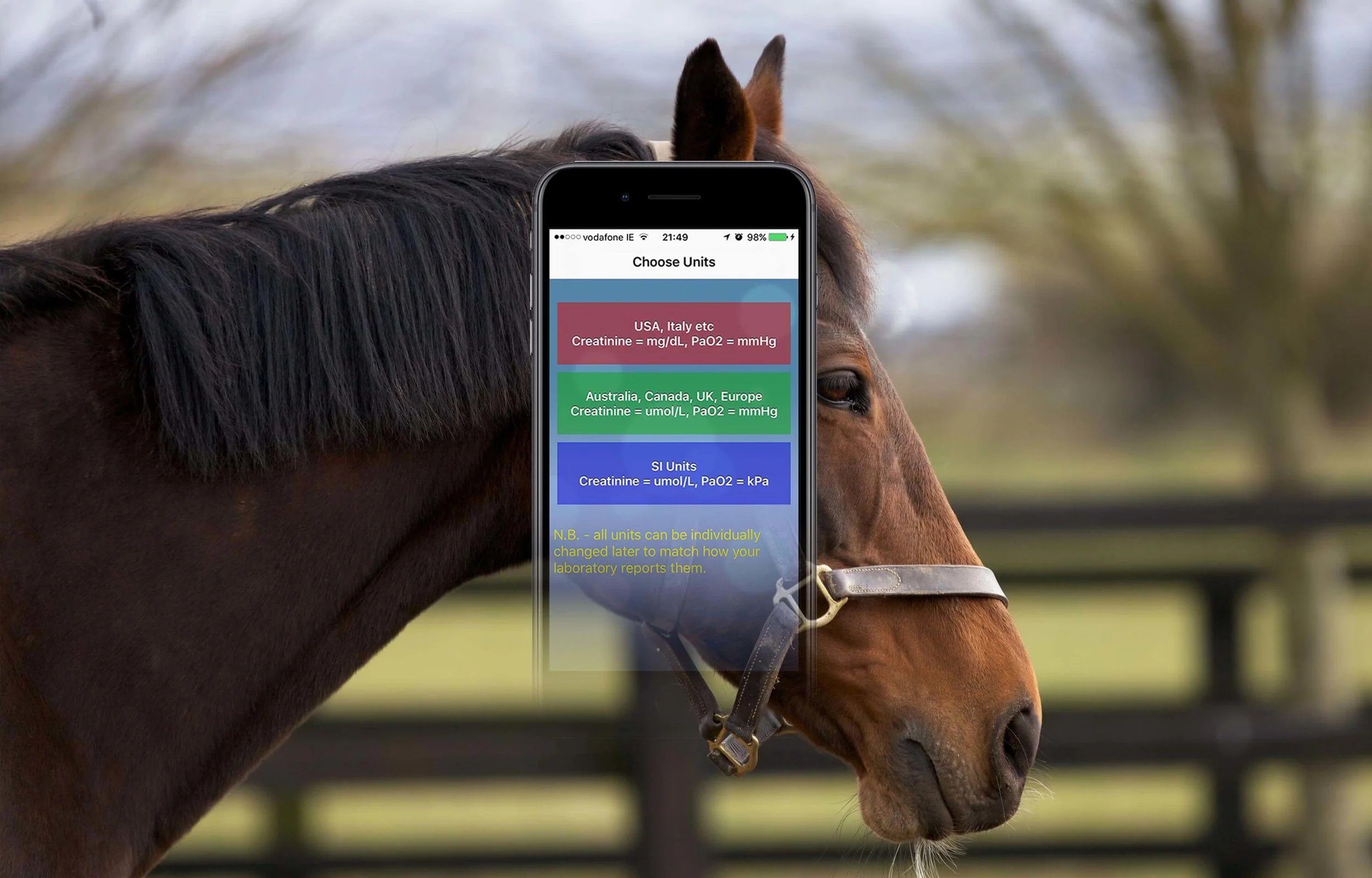 Apps-Equine-Lab.jpg