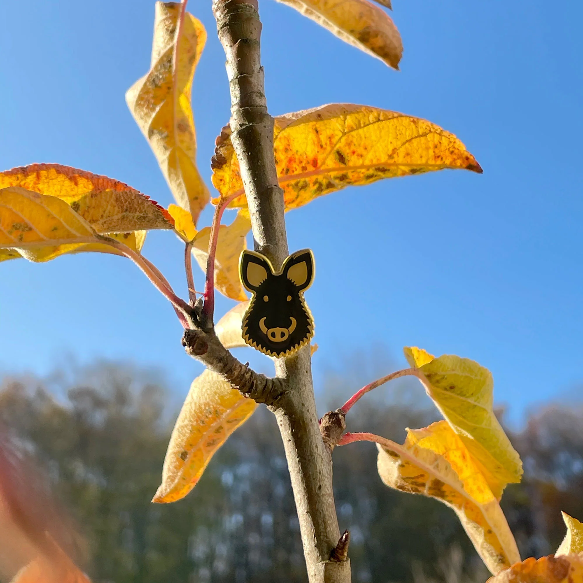 ESCA Wildschwein Anstecknadel