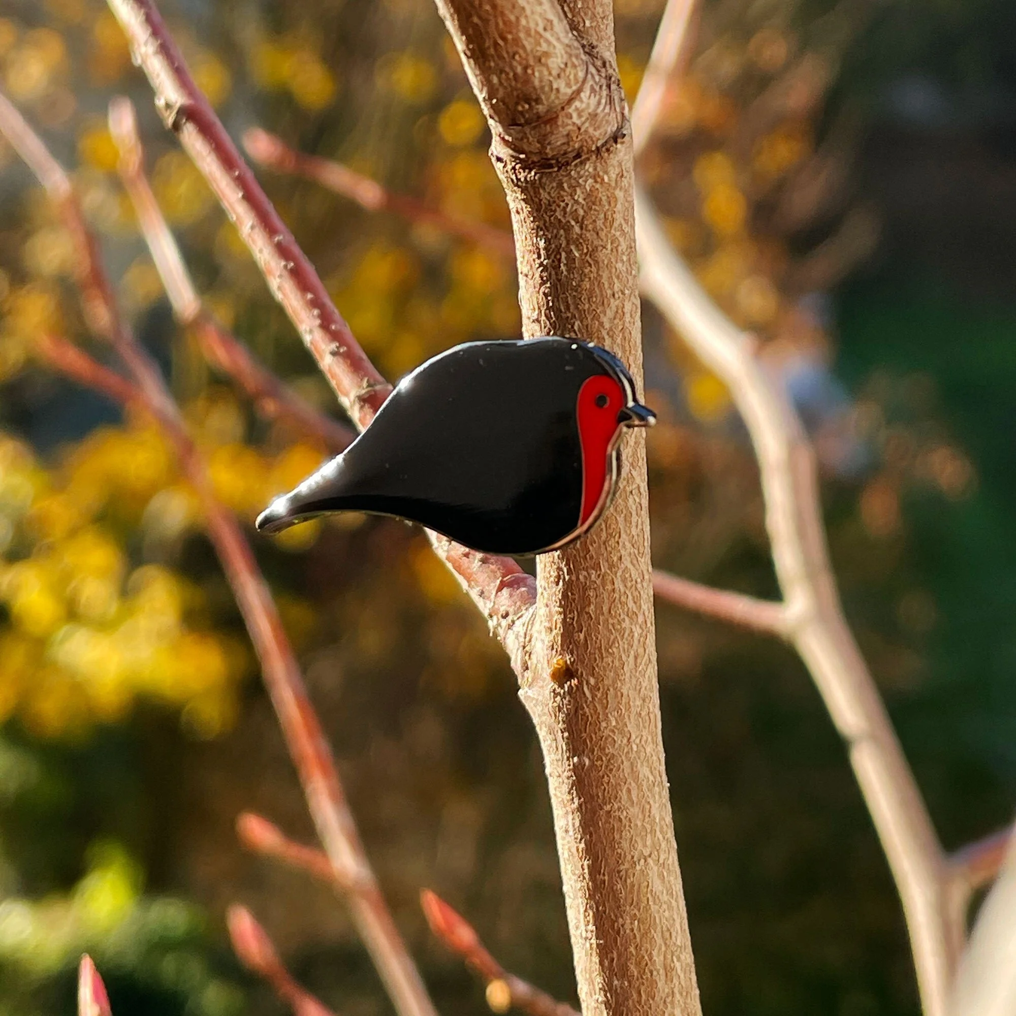 ESCA Rotkehlchen Anstecker