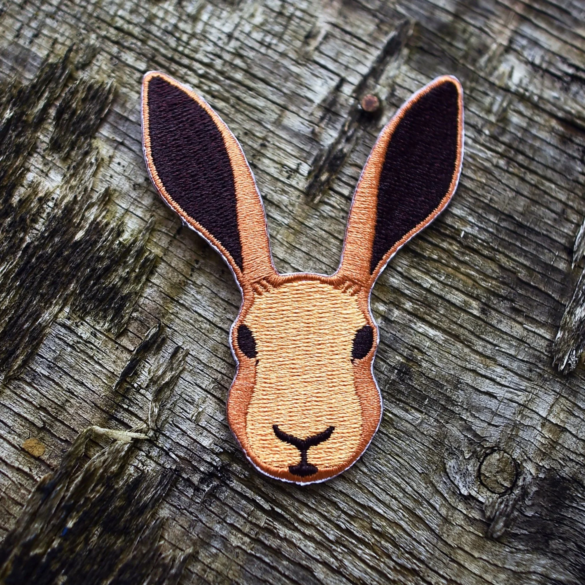 ESCA_patch-hase6.jpg