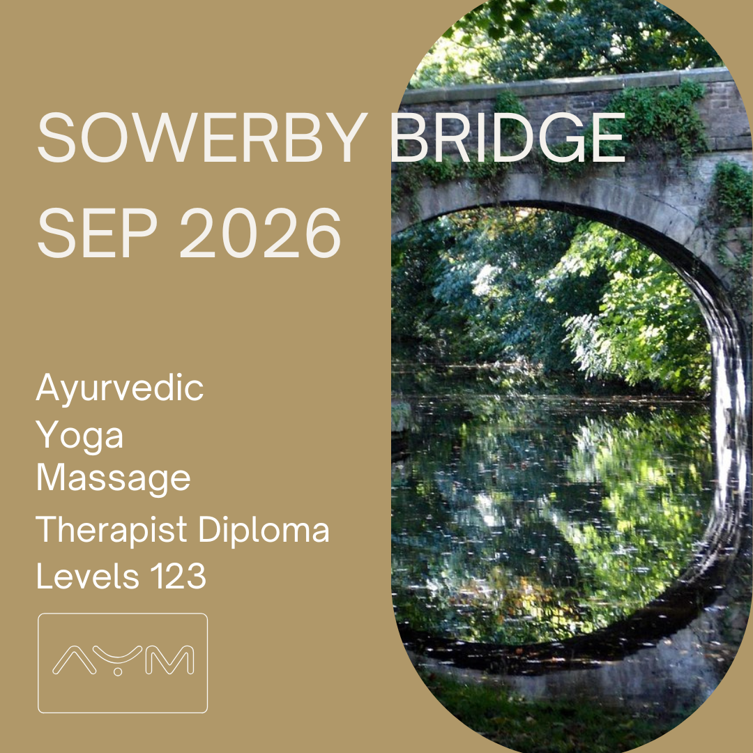 NEW AYM Squares-43.png