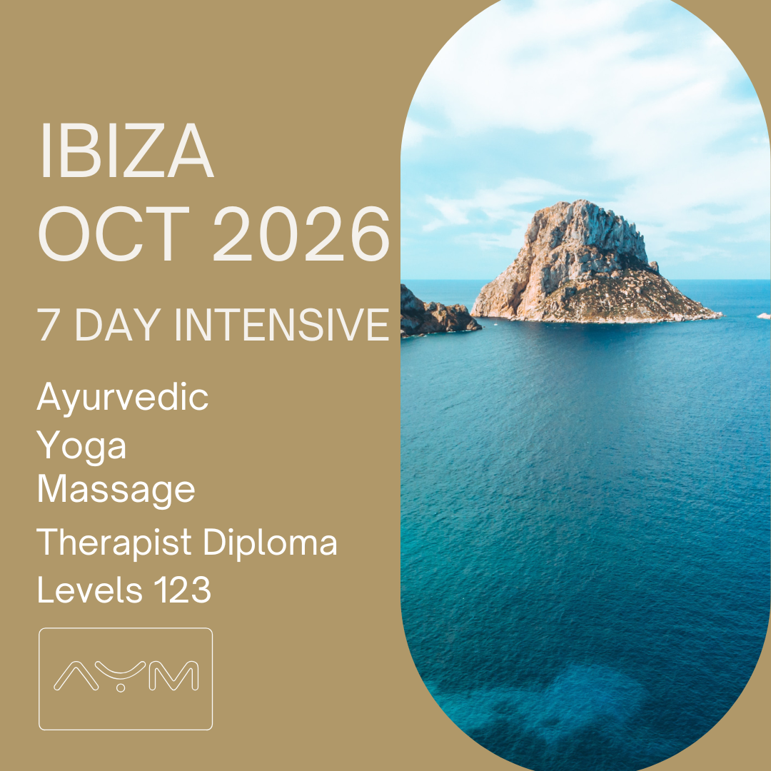 NEW AYM Squares-45.png