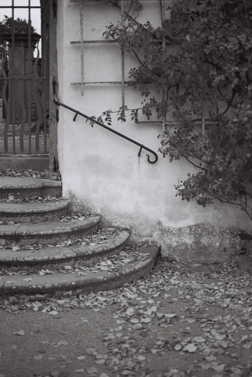 autumnBW-1.jpg